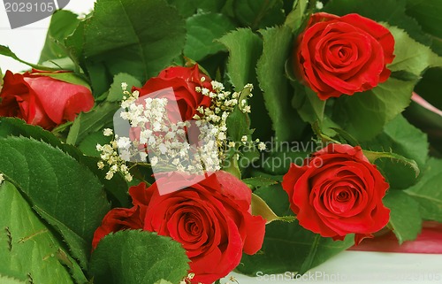 Image of Bouquet of fresh red roses on white