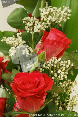 Image of Bouquet of fresh red roses on white