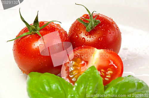 Image of basil and tomatoes