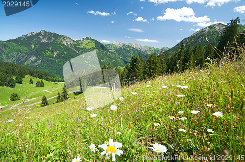 Image of alpine meadow in germany