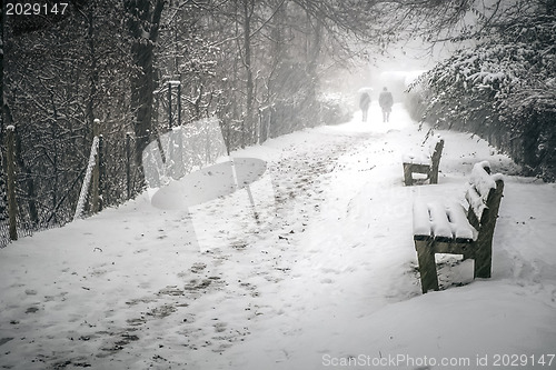 Image of Winter Path