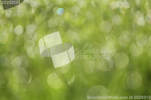 Image of Abstract blurred soft background