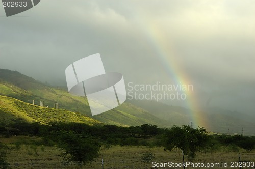 Image of Tropical rainbow