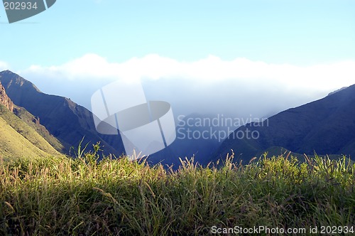 Image of Tropical countryside