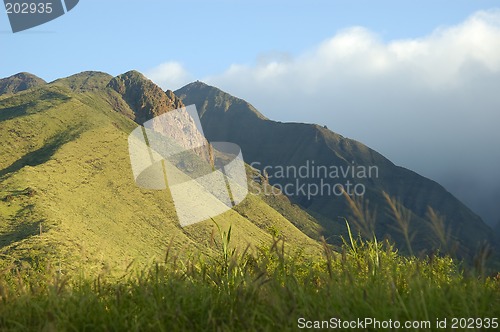 Image of Tropical Mountain