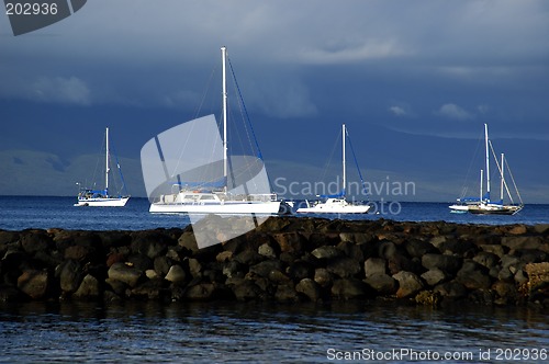 Image of Fishing Boats