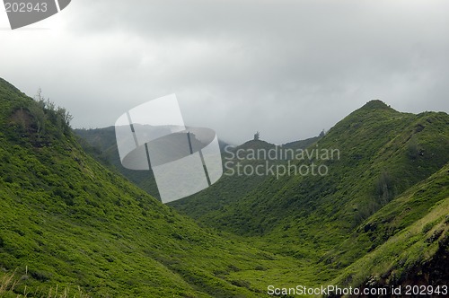 Image of Tropical countryside II