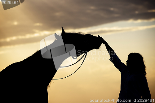 Image of Woman and horse