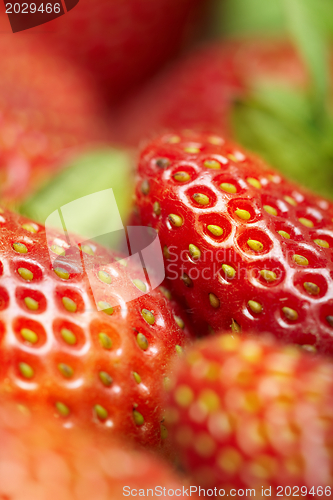 Image of Strawberry