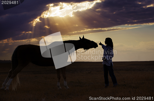 Image of Woman and horse