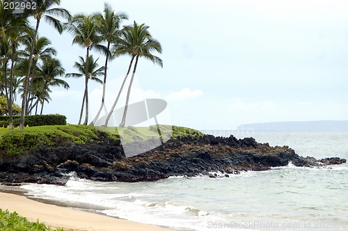 Image of Another Tropical beach