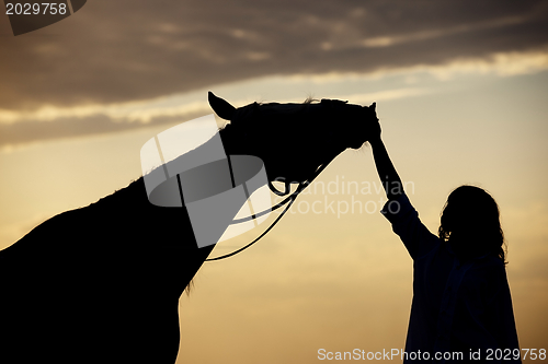 Image of Woman and horse