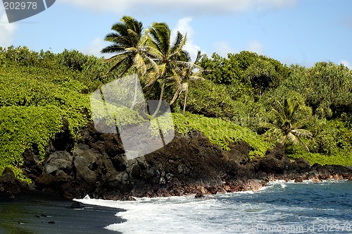 Image of Tropical Beach