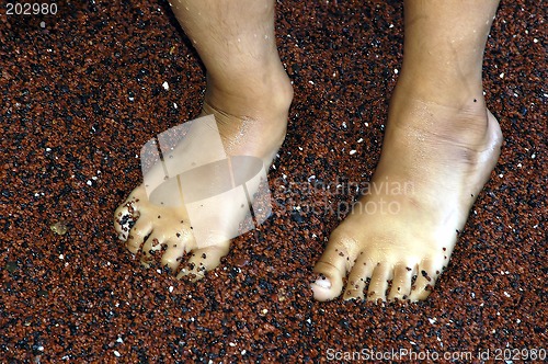 Image of Wet Feet