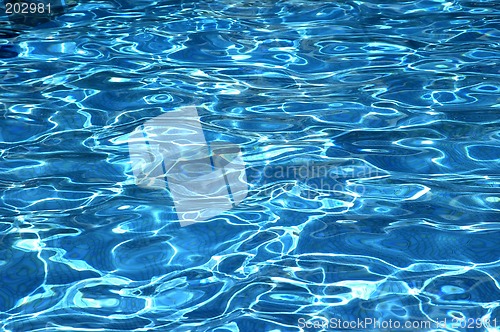 Image of Pool reflections