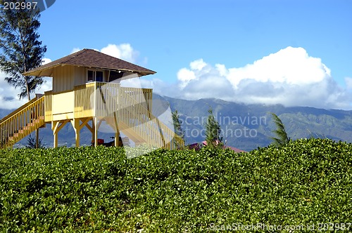 Image of Lifeguard