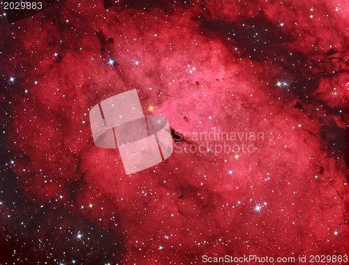 Image of IC1318 Gamma cygni nebula