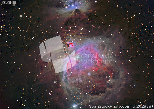 Image of M42 Great Orion Nebula