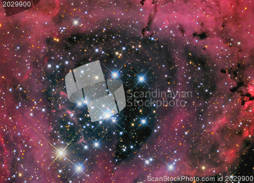 Image of NGC2244 Rosette nebula