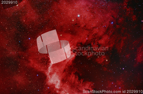 Image of NGC7000 North America Nebula