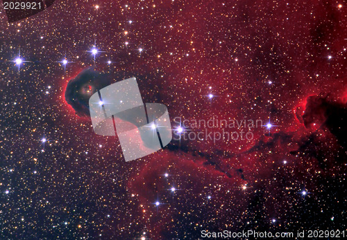 Image of vdb142 Elephants Trunk nebula