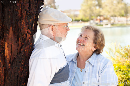 Image of Happy Senior Couple in The Park