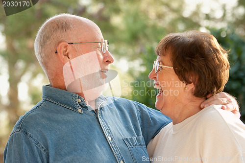 Image of Happy Senior Couple Outdoor Portrait