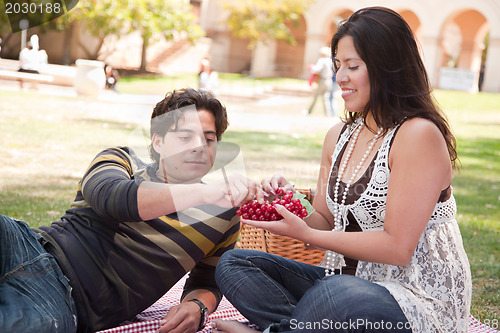 Image of Attractive Hispanic Couple Having a Picnic in the Park