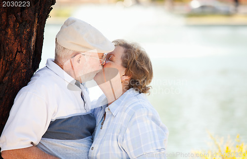 Image of Happy Senior Couple in The Park