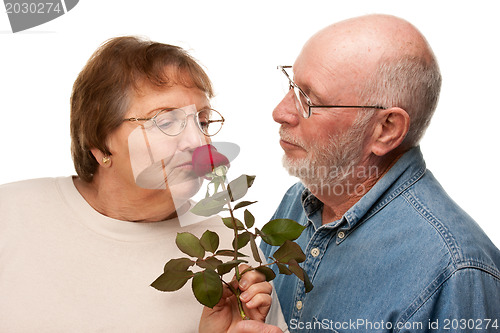 Image of Happy Senior Husband Giving Red Rose to Wife