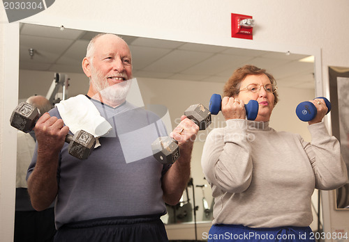 Image of Senior Adult Couple Working Out in the Gym