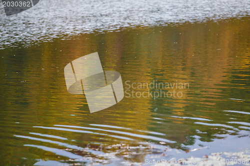 Image of Autumn Color Reflection