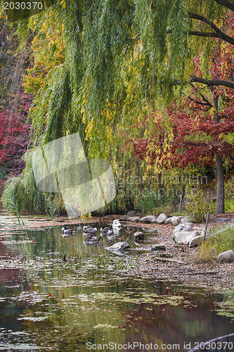 Image of Colorful autumn