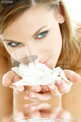 Image of rose petals #2 in water