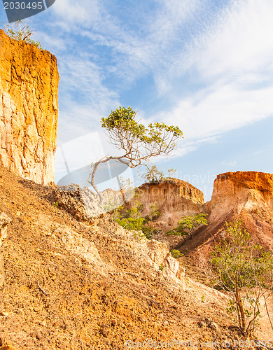 Image of Marafa Canyon - Kenya