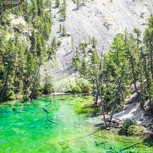 Image of Green Lake