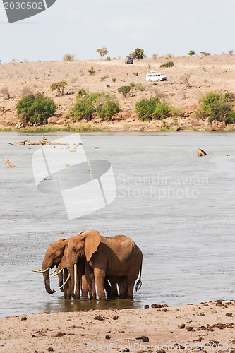 Image of Safari in Kenya
