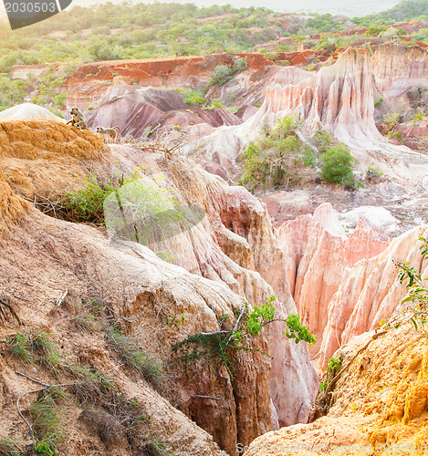 Image of Marafa Canyon - Kenya