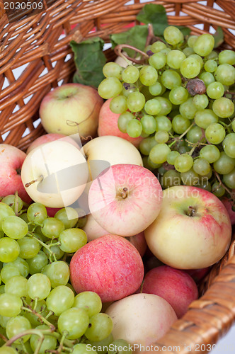 Image of apples and grapes