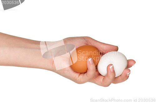 Image of Hand with egg