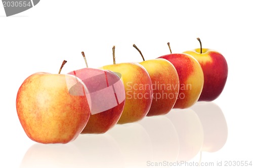 Image of Fresh apple