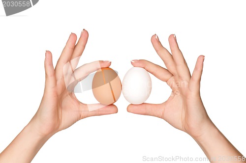 Image of Hand with egg