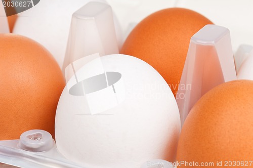 Image of Eggs in box