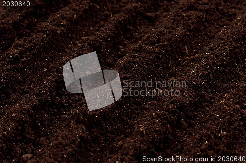 Image of Soil background