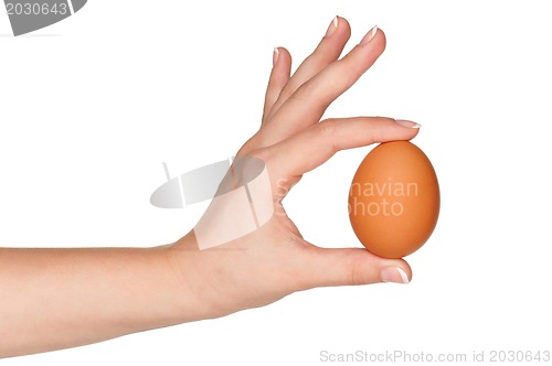 Image of Hand with egg