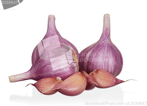 Image of Fresh garlic