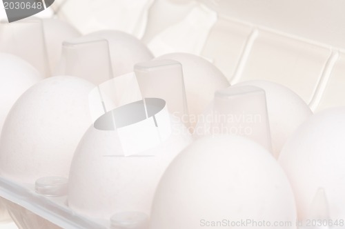 Image of Eggs in box