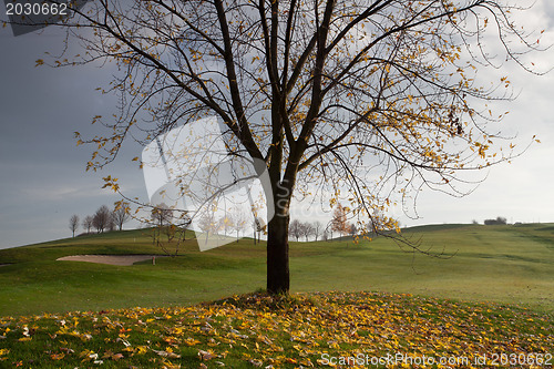 Image of The golf course at sunrise in autumn