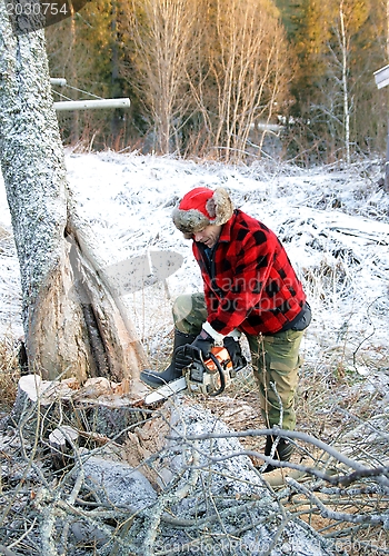 Image of Cutting down trees