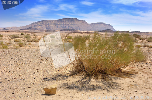 Image of Makhtesh Ramon